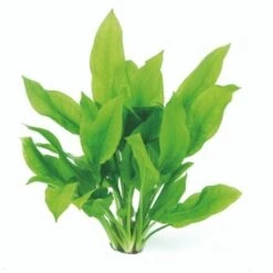 DENNERLE Wasserpflanzen-Set "100 L Basic" -VERSELE-LAGA Verkäufe 02b8f359ae623b73f64060ae2ce1756b73f4625c 1c6a3f43a83e405eff9db3a1d8b1c059c35c0ca8