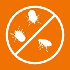 Ardap Spot-On Für Ziervögel & Brieftauben -VERSELE-LAGA Verkäufe 038d3481836ba38e3157f406ac786e1726a3d7c0 1227326 de DE 9995c7124591a9c13faf975bcb76e778050c4234EvX9L5