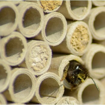 Dobar Großes Profi-Insektenhotel 5 Dobar Großes Profi-Insektenhotel – Bild 3