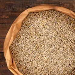 Deuka W/Z-Futter 25 Kg - Wachtelfutter Gekörnt -VERSELE-LAGA Verkäufe 0961cba8bc9b682144a25d2a60b8147c0b226c3c 1385972 de DE c4802ac00ac3e6e15c11cc1414598b7e38aff560opB2e4