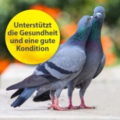 Quiko Multivitamin 375 G 9 Quiko Multivitamin 375 G -VERSELE-LAGA Verkäufe 104df2b21f8fd9e32b99e367a9a5b3569dbad191 1387633 de DE f867bf42cdcdb7e6959667b1210fedd6d7d4c069gH7Wsa