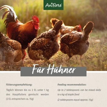 Aniforte Hühnertraum 2,5kg 7 Aniforte Hühnertraum 2,5kg – Bild 5