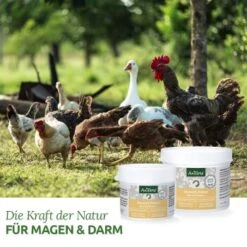 Aniforte Wermix Für Hühner & Co 50g -VERSELE-LAGA Verkäufe 161958b36104ec8c87b36581ab02d07ff75f352f 1489434 de DE 0c332bdd6b16f0ad98823856f9fbdb52e63fd093OsEry7