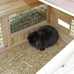 Kerbl Kleintierstall Tyrol Alpin -VERSELE-LAGA Verkäufe 171790ce081654b413a6450e70de4fcec8313490 9773502bb466235b647cc09752f73d4384b4818f