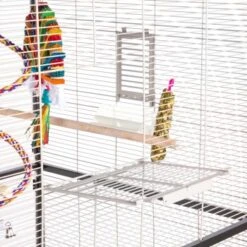 Montana Cages Voliere Paradiso 120 Hellgrau/ Dunkelgrau -VERSELE-LAGA Verkäufe 1c842f90892054aed2e7d5c892280c11e89fe74b 1200893 de DE 93edbe7d4f0e092dd8649cc255466a331806c29emAqrjU