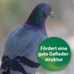 Quiko Spirulina 250 G 8 Quiko Spirulina 250 G -VERSELE-LAGA Verkäufe 1d197f2e004bf765dcdb99f3cb777c57285c03ed 1387640 de DE 185e18e93f54cb0130b70ffb741d9e21c1c0250eZ39B4c