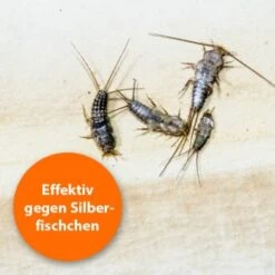 Ardap Silberfischchen Zerstäuber 500ml 8 Ardap Silberfischchen Zerstäuber 500ml -VERSELE-LAGA Verkäufe 1e8dee47b7556a1cfb6814fa2ca6e5dedd235e99 1498736 de DE f0313bba9a85c6f11b477382af9b176a54c3fb16kh0cfu