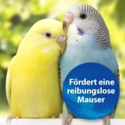 Quiko Biotin M 150 G: Unterstützt Die Mauser Von Ziervögeln -VERSELE-LAGA Verkäufe 1edb379122303e5bd6851c962595f5914d97ad79 1386532 de DE d423967889f663d8a9511c722121183787861b26YUo6R2