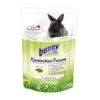 Bunny KaninchenTraum Oral 1,5 Kg 2 Bunny KaninchenTraum Oral 1,5 Kg -VERSELE-LAGA Verkäufe 2cfe13cca0ca3168a9c66d8bf5243b603db8ca2b 371371746f15dd5bd0c909e9d03c6ae870d0ec3e