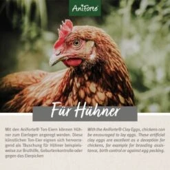 Aniforte Toneier 6er Pack -VERSELE-LAGA Verkäufe 2fca7168177239da75d03f74fa4a1c77159cd287 1489433 de DE 7085a1a388f1f237d3be86504bf98fc686ff7ec2o1r7t3