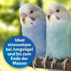 Quiko Plus 400 G: Extra Proteine Für Jungvögel 10 Quiko Plus 400 G: Extra Proteine Für Jungvögel -VERSELE-LAGA Verkäufe 3190f3828e35083694537fdd840250512177f97d 1386524 de DE a58e247c1fb3092732f92fc759d1dabd3a4811c5GIUhYl