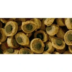 Sera Reptil Professional Herbivor 1l -VERSELE-LAGA Verkäufe 33c2925ba9c36a695e8a5914642f86a3e39341fc 5af89bea59813cd06ba625fcfeb0ec2e8e3bfcd7