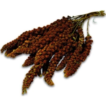 JR Farm Rote Kolbenhirse 3x500g 4 JR Farm Rote Kolbenhirse 3x500g – Bild 2