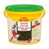 Sera KOI Color L Hauptfutter 3,8l -VERSELE-LAGA Verkäufe 38550a42e279ec71349951c7b073d5b4c28582f3 74af6632f0d7f47632b25b231ed83ca98d3f63f1