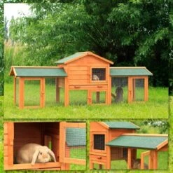 Lionto Kleintierstall, 212x52x85cm 15 Lionto Kleintierstall, 212x52x85cm -VERSELE-LAGA Verkäufe 3e2307cf4cca07e4b383646a28a2024abb5ff4b9 1498014 de DE cacdc7f5a12aa45424ba09cf7083871463e069bb4Y71O7