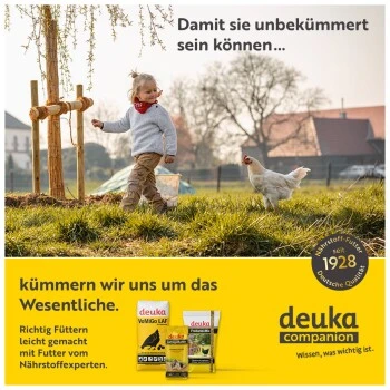 Deuka Körner Deluxe - Geflügel Premiumkörnermischung - 15 Kg - Mit Oregano 4 Deuka Körner Deluxe - Geflügel Premiumkörnermischung - 15 Kg - Mit Oregano – Bild 2
