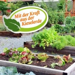 Ardap GREEN Aktiv Puder 200 G -VERSELE-LAGA Verkäufe 3fe88834fe3bcc9c4ba3a3e437ea621b3faec9e9 1341058 de DE dbc5b18153cc78696b8d07d4fa16174aa1848b55o9qPaE