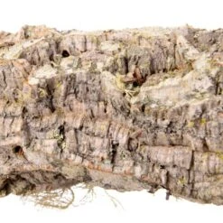 HappyBird Sitzstange Natur Kork L 14 HappyBird Sitzstange Natur Kork L -VERSELE-LAGA Verkäufe 4219bfe3ca891eef1cb492a7d523955c5a87acdb 1416844 de DE 36da01729119466b9455d5ee60fee4c9e37394097Q8Hd8