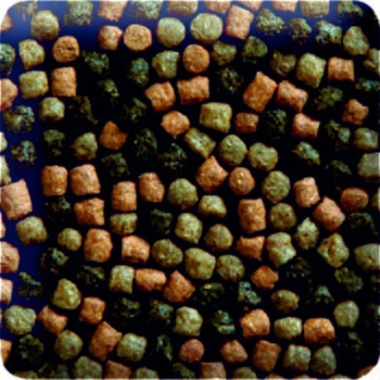 KENKOU Platin KOI-MIX 6mm 5 Kg 4 KENKOU Platin KOI-MIX 6mm 5 Kg – Bild 2