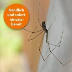 Ardap Spinnen Zerstäuber 500ml -VERSELE-LAGA Verkäufe 53f827d2da3e66af44cf8427f288a050e35e5e7d 1498737 de DE 0cfe4ed2ab01f89fe7591ea303c8267eb6cc22cauTUke1