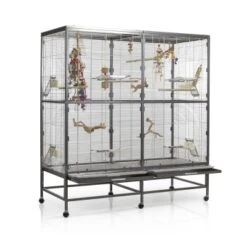 Montana Cages Voliere Paradiso 150 Hellgrau/ Dunkelgrau 14 Montana Cages Voliere Paradiso 150 Hellgrau/ Dunkelgrau -VERSELE-LAGA Verkäufe 57d765c5251d220f7fb80b9e17dd7c30bed7aa9a 1330426 de DE 32a0a07122e2d2167ed99c854ac82bd80c6ddd4fR7g0HT