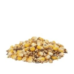 Versele-Laga GRA-MIX Hennenmischung 20kg 5 Versele-Laga GRA-MIX Hennenmischung 20kg -VERSELE-LAGA Verkäufe 5a4a856521a159c5a04da6396e80d661f1105b8f bc41f5c4991b89f5e7ac5100f40e6e9a03b9204d