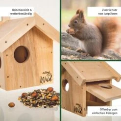 Aniforte Wild Eichhörnchen Kobel -VERSELE-LAGA Verkäufe 683d3467c1f520795f7dbcc8d014fa26bda3c1af 1457291 de DE 4e9e82bbeb4e57f21ae24709e3598854fcac104cguX70Q