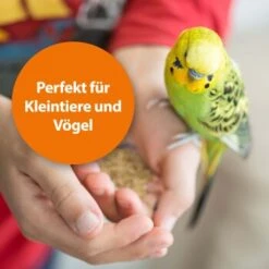 Ardap Milben- Und Zeckenspray Für Nager Und Vögel 100ml -VERSELE-LAGA Verkäufe 68a588b27c2bdeb958613c196e70f41522c1ca73 1352522 de DE 1626057c073e83595c48b5e38365b5bb10e0c4acyC8yCA