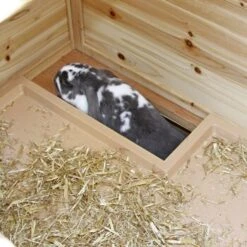 Kerbl Kleintierstall Tyrol Alpin -VERSELE-LAGA Verkäufe 6d227fe763647c07827ef0bb889e4df382ab6c29 b0ce99e06781483f1a0fd9ec2deb2a932d3c0a69