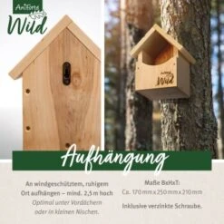 Aniforte Wild Nistkasten Für Rotkehlchen 10 Aniforte Wild Nistkasten Für Rotkehlchen -VERSELE-LAGA Verkäufe 7239be28481a9e9883ff53cd6ee7def16f80de16 1457288 de DE c7c141760a5450b86f93b7978644ad25ff66e0e2XUdz3d