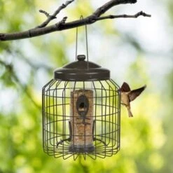 AniOne Futterschutzsäule Für Streufutter -VERSELE-LAGA Verkäufe 7864a00a61c5fa9fb005b284bf8297f865a0b64a b9fac61a1a853bd919236a39b33d85249bca68a9