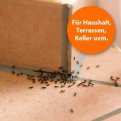 Ardap Ameisen Zerstäuber 500ml 10 Ardap Ameisen Zerstäuber 500ml -VERSELE-LAGA Verkäufe 7ae4a7e6732a3e96063db4cbc86668711d4034ef 1498735 de DE 6cc83e245c21ce91fe172fef6b26b223324caed9EzQ9rD