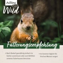 Aniforte Eichhörnchenfutter 1 Kg -VERSELE-LAGA Verkäufe 7f73354bcb021e39248f5969efdc2ec1bb139b57 1472622 de DE 16db3f538f09bf1ee026ff31ba098faa34552b8192Yma4