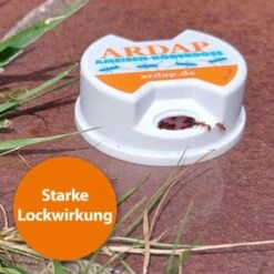 Ardap Ameisen Köderdose 3er Pack -VERSELE-LAGA Verkäufe 8010fc1a94505a48d00e79dc55546361f20c914f 1385164 de DE a3b7d83ecf7d28fa3336872c1d06c4b46868bcb2qudCKC