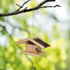 AniOne Wand - Vogelhaus -VERSELE-LAGA Verkäufe 81a9d5a1efc975ac090cedc6a9e3eb3708ed3628 1301965 de DE WandVogelhaus 3