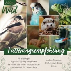 Aniforte Wild Soldatenfliegenlarven 800g 12 Aniforte Wild Soldatenfliegenlarven 800g -VERSELE-LAGA Verkäufe 82816c07a7d8f858db2c0bda10accc43bc855928 1659553 de DE f89e8cb412293d454f593b937e30de062cfcf8bc6nYyf5