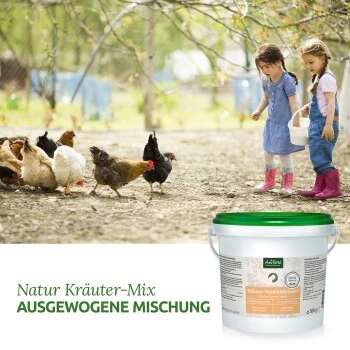 Aniforte Hühner Wohlfühlkräuter 0,5kg 5 Aniforte Hühner Wohlfühlkräuter 0,5kg – Bild 3