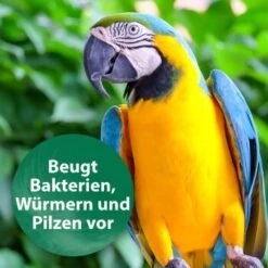 Quiko Med V Liquid 100 Ml: Mit Hochwertigem Oregano-Öl Für Ziervögel 7 Quiko Med V Liquid 100 Ml: Mit Hochwertigem Oregano-Öl Für Ziervögel -VERSELE-LAGA Verkäufe 88a4d869da906e8aaa1074413d2b5765c37fe51c 1387820 de DE 18f5cb5cc5b0a1074c44f20b530fefedca292a50auwynr