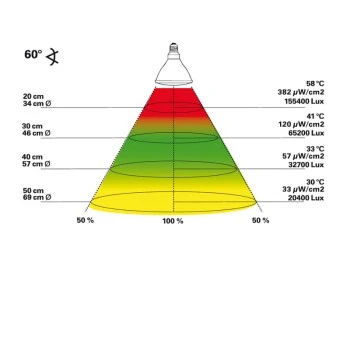 Lucky Reptile Bright Sun FLOOD Desert 70 W 4 Lucky Reptile Bright Sun FLOOD Desert 70 W – Bild 2