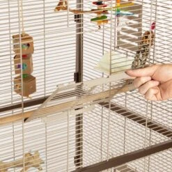 Montana Cages Voliere Paradiso 90 Schoko -VERSELE-LAGA Verkäufe 8a51e1e8340559f25f4320aa285908e55a235d2f 1200892 de DE 0576ffe209ea05253ebe1a6e08466fe13ae3f4a3jFC7T8