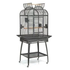 Montana Cages Voliere Havana Dunkelgrau 17 Montana Cages Voliere Havana Dunkelgrau -VERSELE-LAGA Verkäufe 8c5dda96dcd1ea5fa941a34eb267552d97b45cb0 1070399 de DE cb0ae5e208fd4e2582ee831e9287d89255e31f8050vrNy