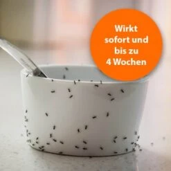 Ardap Ameisen Zerstäuber 500ml 9 Ardap Ameisen Zerstäuber 500ml -VERSELE-LAGA Verkäufe 8eba0b3d47233ce86e9e42982df198662b5f906b 1498735 de DE 6d8b58492dd55726d320717cb579b2df9341da7cGpNENf