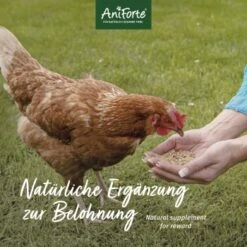 Aniforte Hühnertraum 2,5kg 9 Aniforte Hühnertraum 2,5kg -VERSELE-LAGA Verkäufe 91d0d53fa3b5ad18bba084e121acb841d1fbb121 1489436 de DE b026743637447d83056b1e895679d3ce932791feKHu6MG