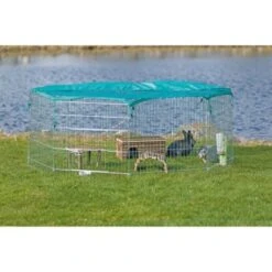 Trixie Freilaufgehege Mit Schutznetz -VERSELE-LAGA Verkäufe 9a7be5311f94d8bc01ef7df4f20b4f3204bdf015 1028477 de DE 21799ac637947f2896589020eec3d8f1800f9a38mDm0OG