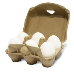 Aniforte Toneier 6er Pack -VERSELE-LAGA Verkäufe 9ac6e915717b6a2cf57ce34ddf3dd6b6b04b1d63 1489433 de DE 59d2526fbfb0c78355bbda3b9f9e4df065390e1eazsq7U