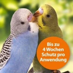 Ardap Spot-On Für Ziervögel & Brieftauben -VERSELE-LAGA Verkäufe 9b899314fb738b053685da335e4670f2d75786e9 1227326 de DE cbf8d013d4256d60577e01ac4d0d3b9782cb3ad0UKAghT