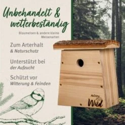 Aniforte Wild Nistkasten Für Blaumeisen -VERSELE-LAGA Verkäufe a1d0dc4014db6a1ff88b15aaa1ec6e7ded95704e 1457286 de DE adb2bebb434aaa5d918a9677b0fae3e19cc34fb192NYxd