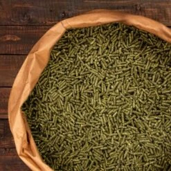 Knabbermann Carangas Meerschweinchenfutter 5 Kg -VERSELE-LAGA Verkäufe a2e9cfd2264a4440e350760ec4221a6690c6de11 1428488 de DE 94a0405cce40204948fd074580f5b244e504aac3WMbRWS