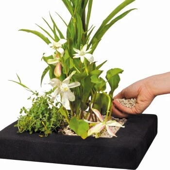 Velda Floating Plant Island Eckig 35 Cm 3 Velda Floating Plant Island Eckig 35 Cm
