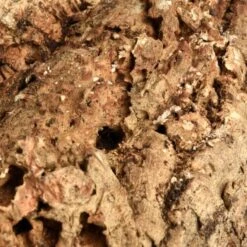 HappyBird Kork Sitzbrett XL -VERSELE-LAGA Verkäufe a774c45f38b43354bd86d7a04e9ad16d0eaf1a6c 1416847 de DE 4d26871b626013948e4cb08465e286887bfaaa137dh8BQ